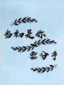 当初是你要分手