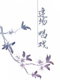 逢场唱戏[京剧]