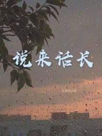 说来话长