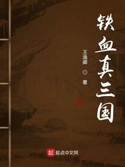 铁血真三国