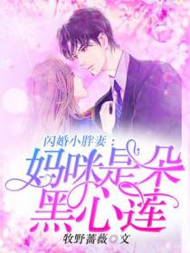 闪婚小胖妻：妈咪是朵黑心莲