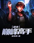 都市巅峰高手