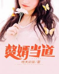 小说赘婿当道全文免费阅读
