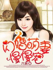 闪婚萌妻慢慢宠