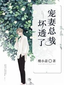 宠妻总裁坏透了慕霆枭