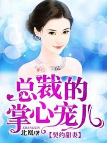 洛槿沐亦枫