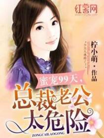 总裁老公太危险