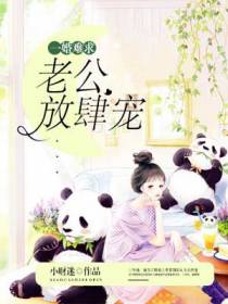 陆如风简安安