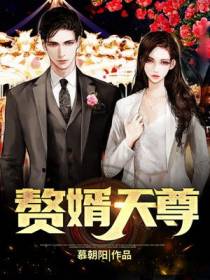 赘婿天尊