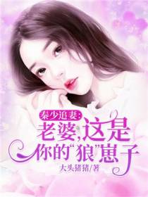 秦少追妻：老婆，这是你的“狼”崽子