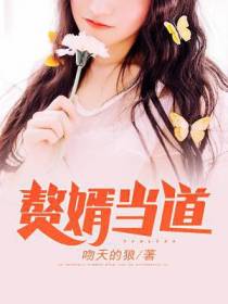 上门女婿柳萱岳风