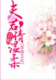 虎族王妃：夫君，请温柔