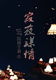 寂夜谋情