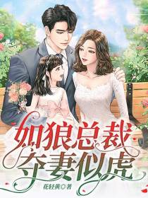 如狼总裁夺妻似虎