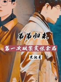 弟弟归来,第一次破案震惊全局