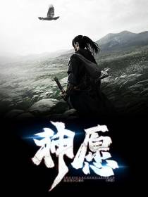 神愿0
