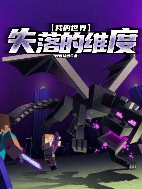 我的世界：失落的维度