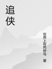 追侠