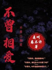 不曾相爱