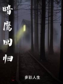 暗鹰回归
