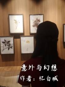 意外与幻想