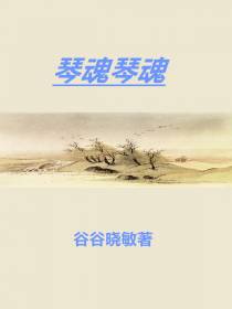 琴魂琴魂