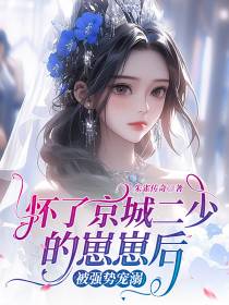 怀上京城二少的崽崽后被强势宠溺