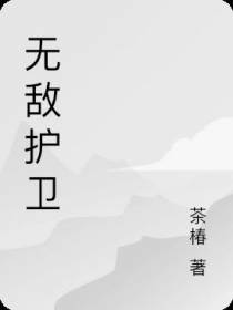 无敌护卫