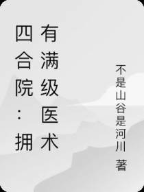 四合院：拥有满级医术