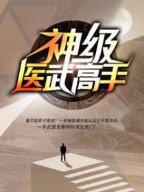 神级医武高手