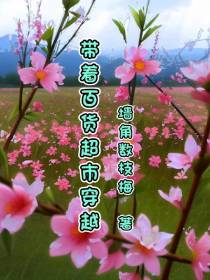 带着百货超市穿越