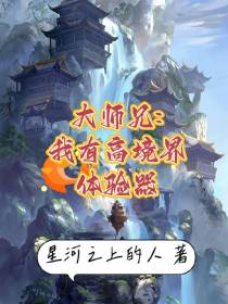 大师兄：我有高境界体验器