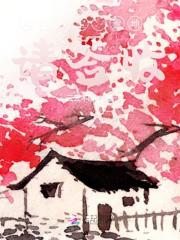 龙凤双宝