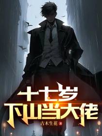 十七岁下山当大佬