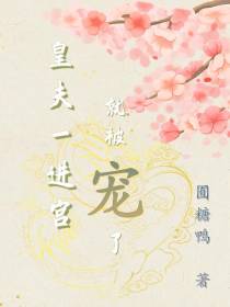 皇夫一进宫就被宠了