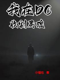 我在DC收割灵魂