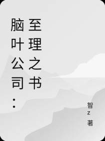 脑叶公司：至理之书,不会做封面