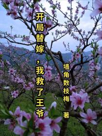开局替嫁,我救了王爷