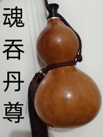 魂吞丹尊