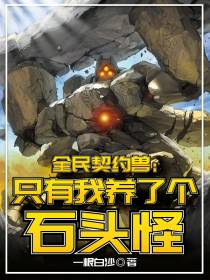 全民契约兽：只有我养了个石头怪