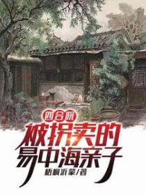 四合院：被拐卖的易中海亲子