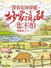 带着农场穿越,抄家流放也不怕