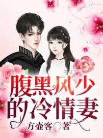 腹黑风少的冷情妻