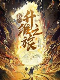我的升维之旅