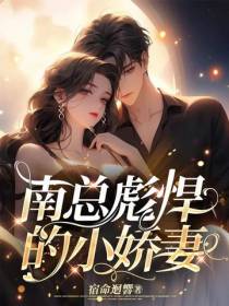 南总彪悍的小娇妻