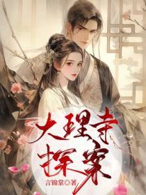 大理寺探案