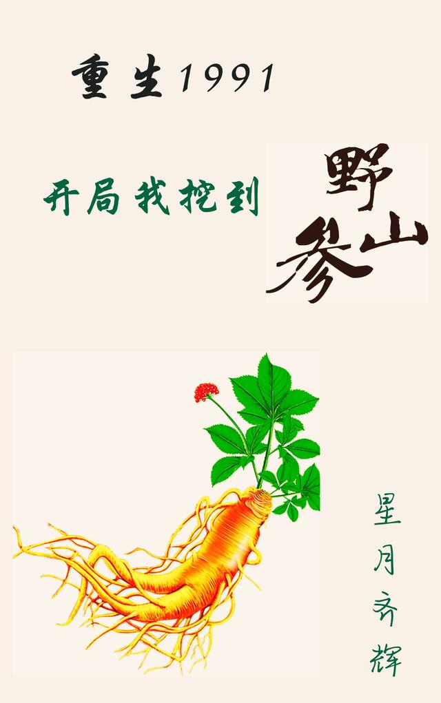 重生1991,开局我挖到野山参