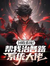 回收系统！帮我治各路系统大佬