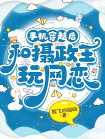 手机穿越后,和摄政王玩网恋