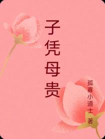 子凭母贵